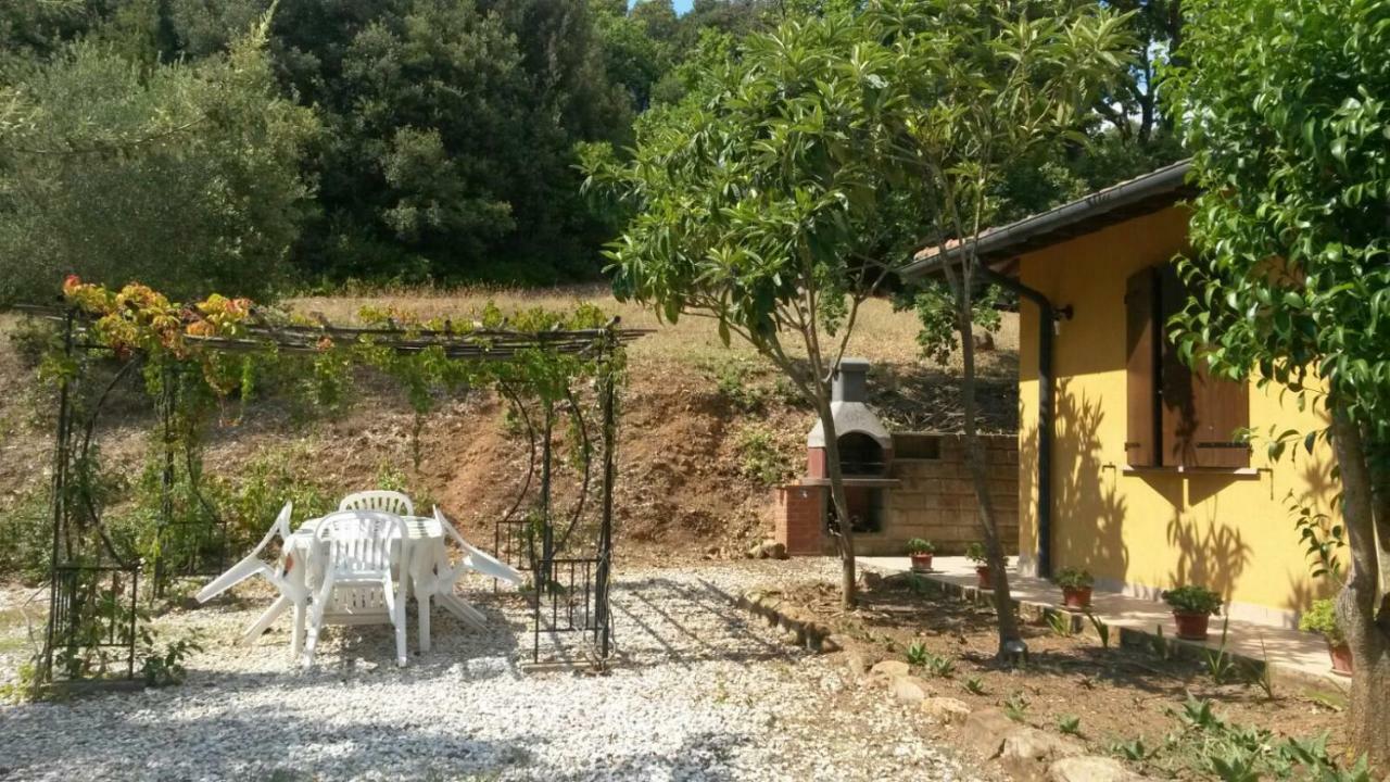 Podere Mammoleta Fattoria la Marsiliana Bagian luar foto