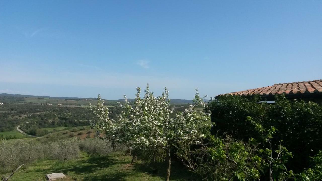 Podere Mammoleta Fattoria la Marsiliana Bagian luar foto
