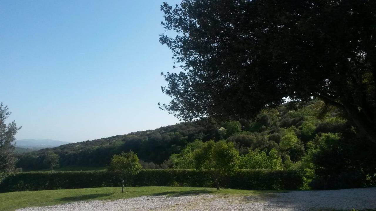 Podere Mammoleta Fattoria la Marsiliana Bagian luar foto